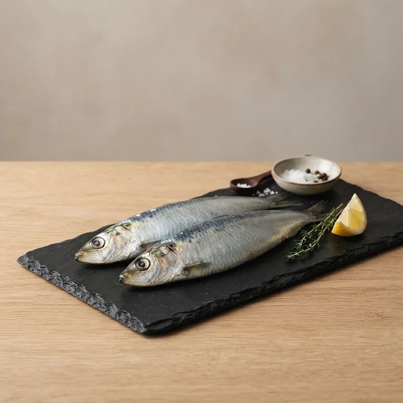 pilchard