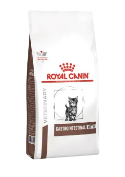 gastrointestinal kitten