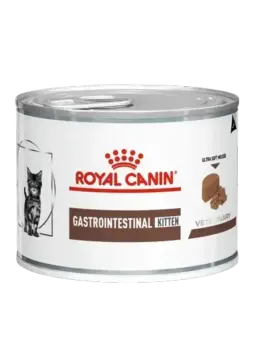 gastrointestinal kitten