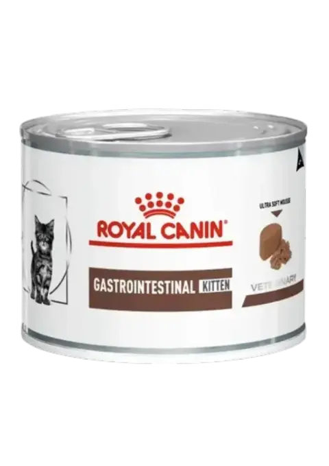 gastrointestinal kitten