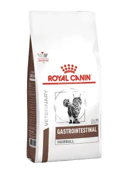 gastrointestinal hairball