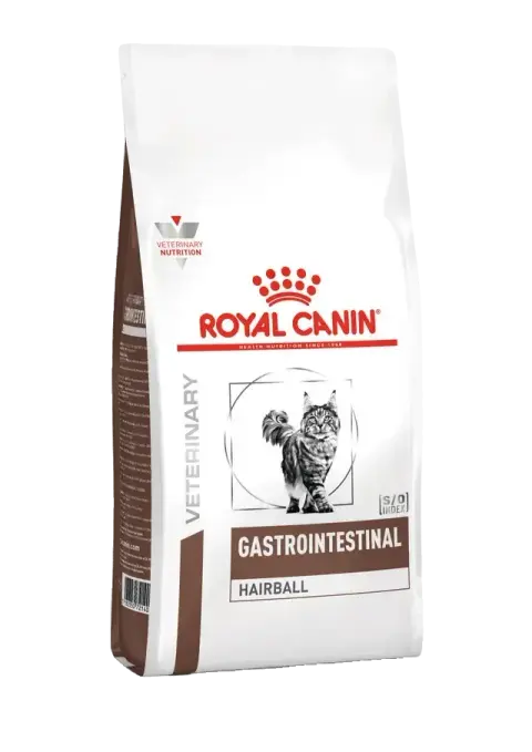 gastrointestinal hairball