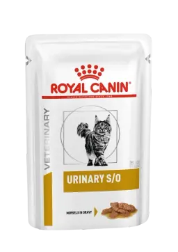 urinary s/o gravy
