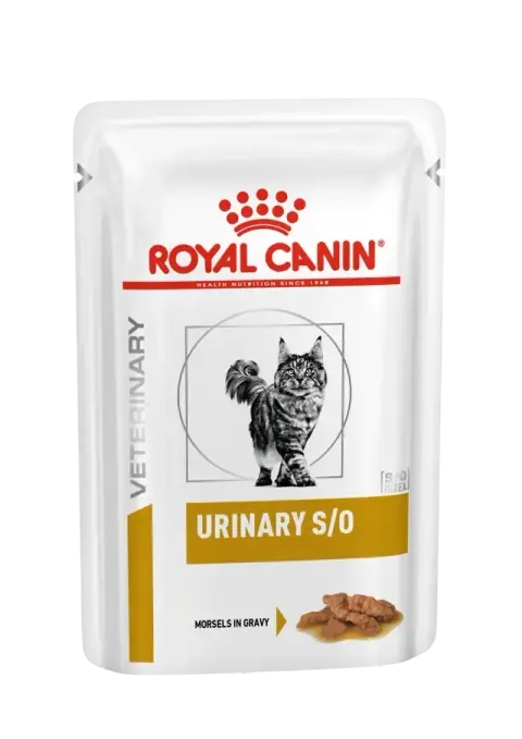 urinary s/o gravy
