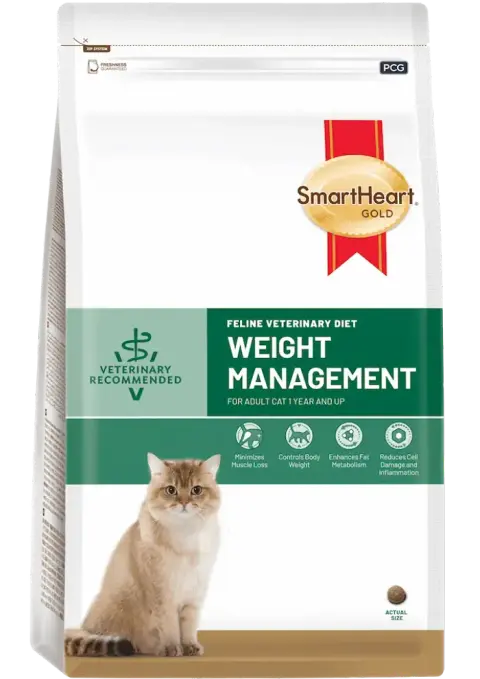 feline veterinary diet weight management