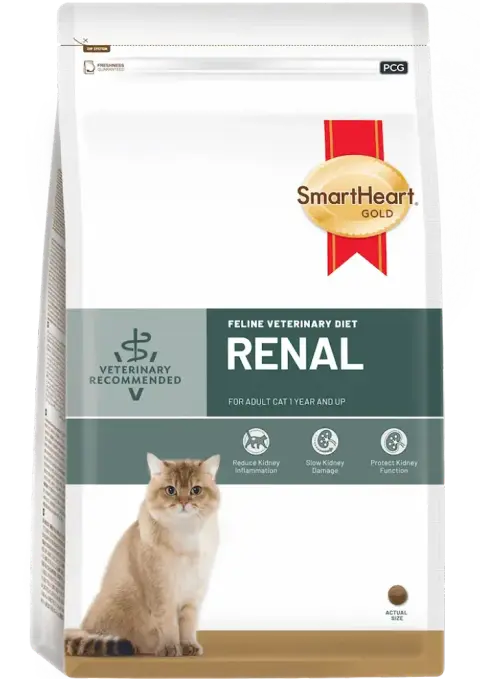 feline veterinary diet renal