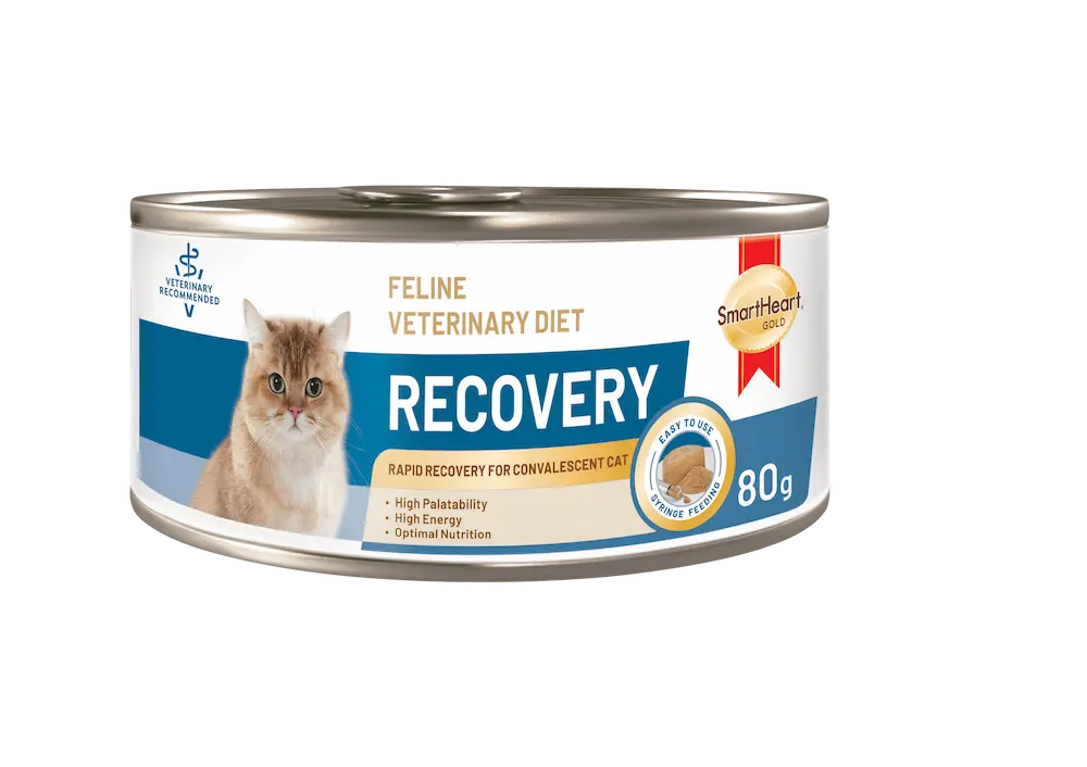 feline veterinary diet recovery