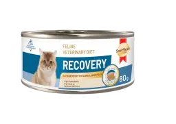 feline veterinary diet recovery