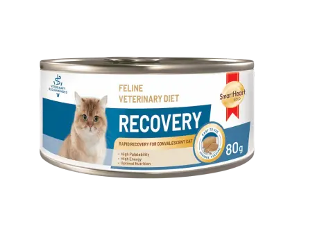 feline veterinary diet recovery