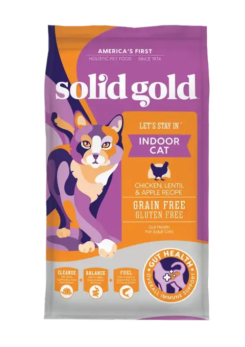 let's stay in indoor cat
