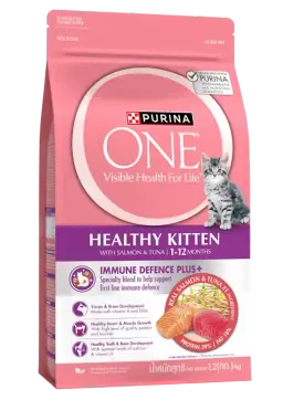 healthy kitten with salmon & tuna