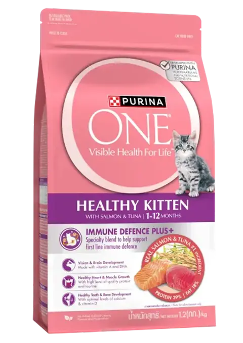 healthy kitten with salmon & tuna