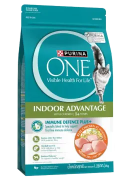 indoor advantage with chicken