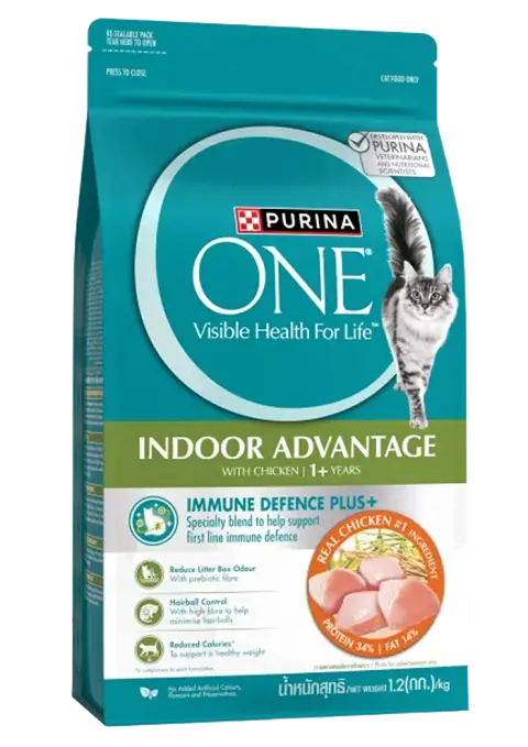 indoor advantage with chicken