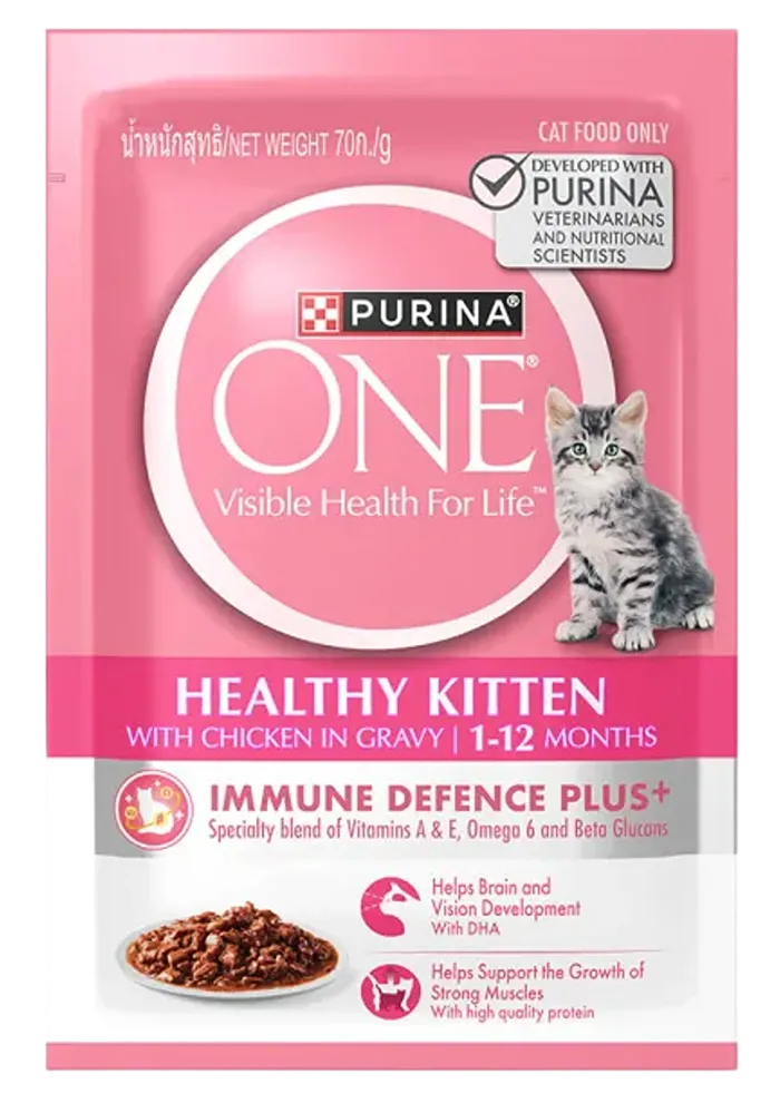 healthy kitten with chicken in gravy