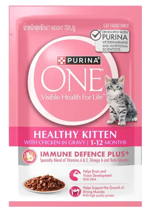 healthy kitten with chicken in gravy