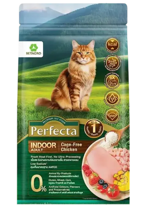 wellness indoor adult cage-free chicken