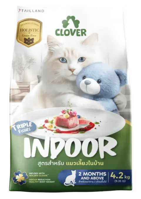 indoor
