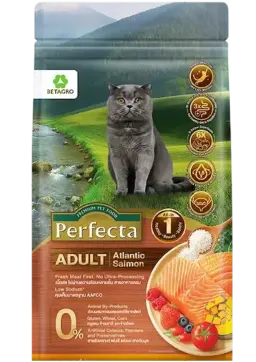 wellness adult atlantic salmon