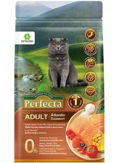 wellness adult atlantic salmon