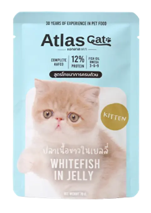 white fish in jelly for kitten