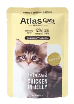 chicken in jelly for kitten