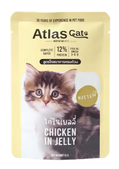 chicken in jelly for kitten