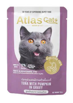 tuna with pumpkin in gravy