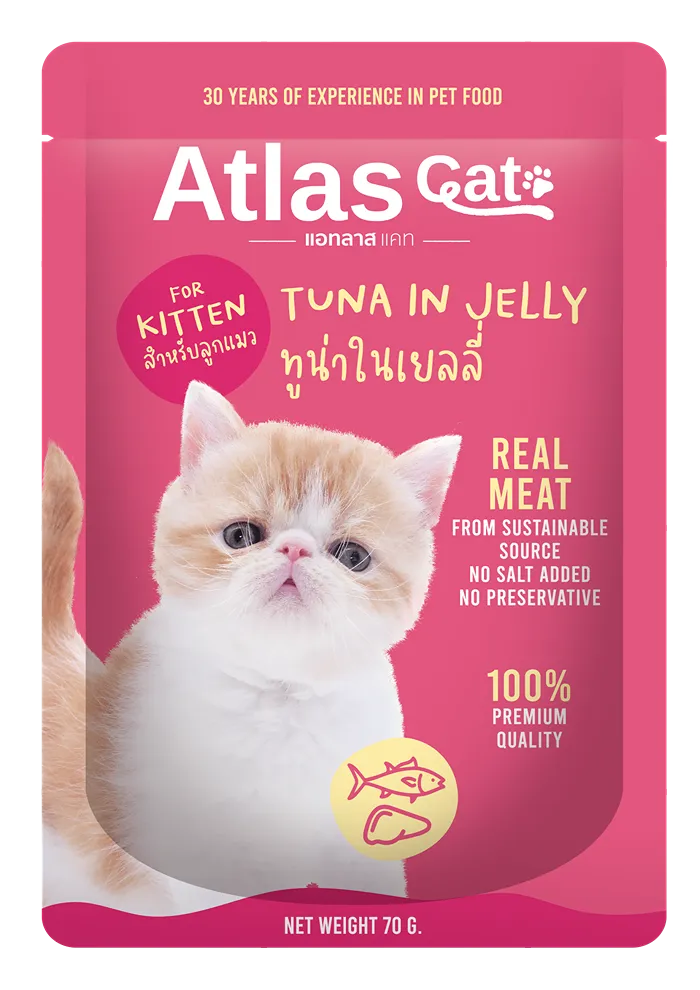 tuna in jelly for kitten