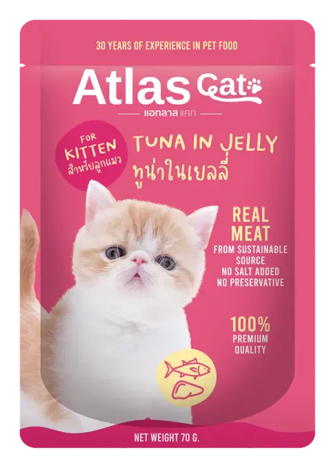 tuna in jelly for kitten