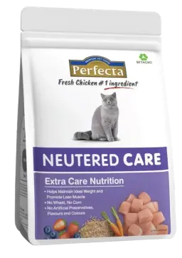 neutered care