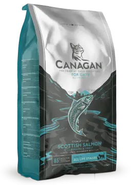 scottish salmon