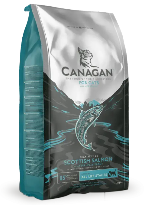 scottish salmon