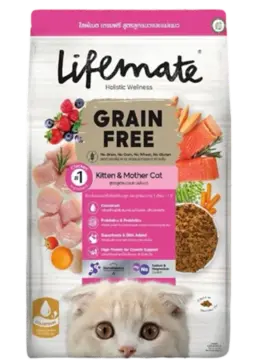 grain free kitten & mother