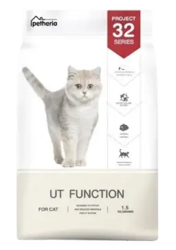 project 32 series ut function