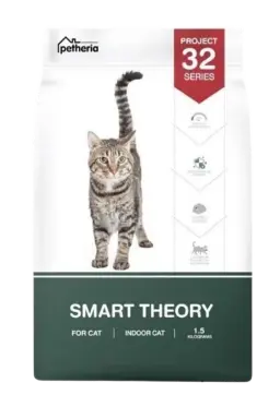 project 32 series smart theory