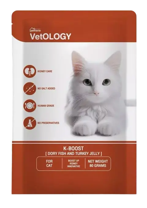 k-boost dory fish & turkey jelly