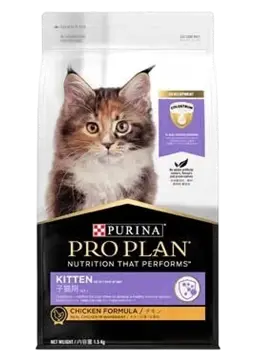 kitten chicken formula