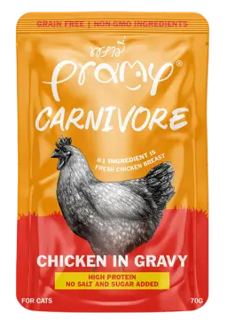 carnivore chicken in gravy