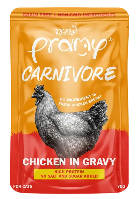 carnivore chicken in gravy