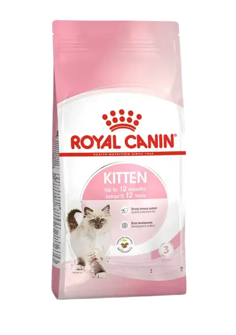kitten
