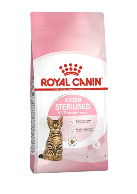 kitten sterilised