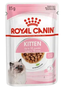 kitten gravy