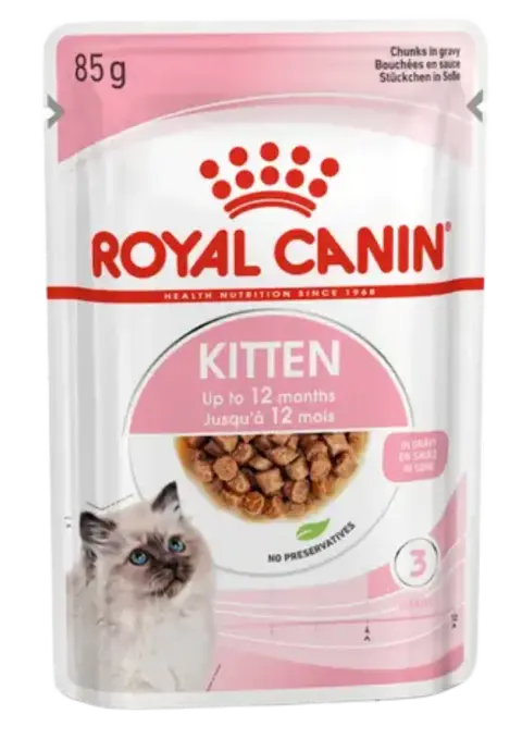kitten gravy