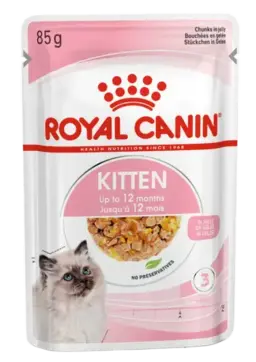 kitten jelly