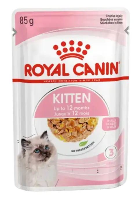 kitten jelly