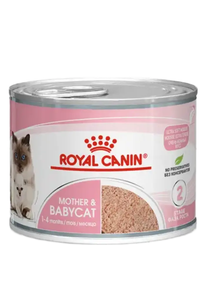 royal canin mother & babycat mousse