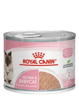 mother & babycat mousse
