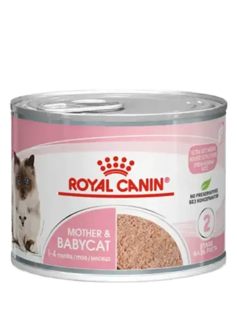 mother & babycat mousse