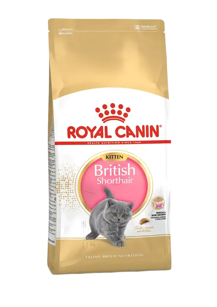 royal canin british shorthair kitten